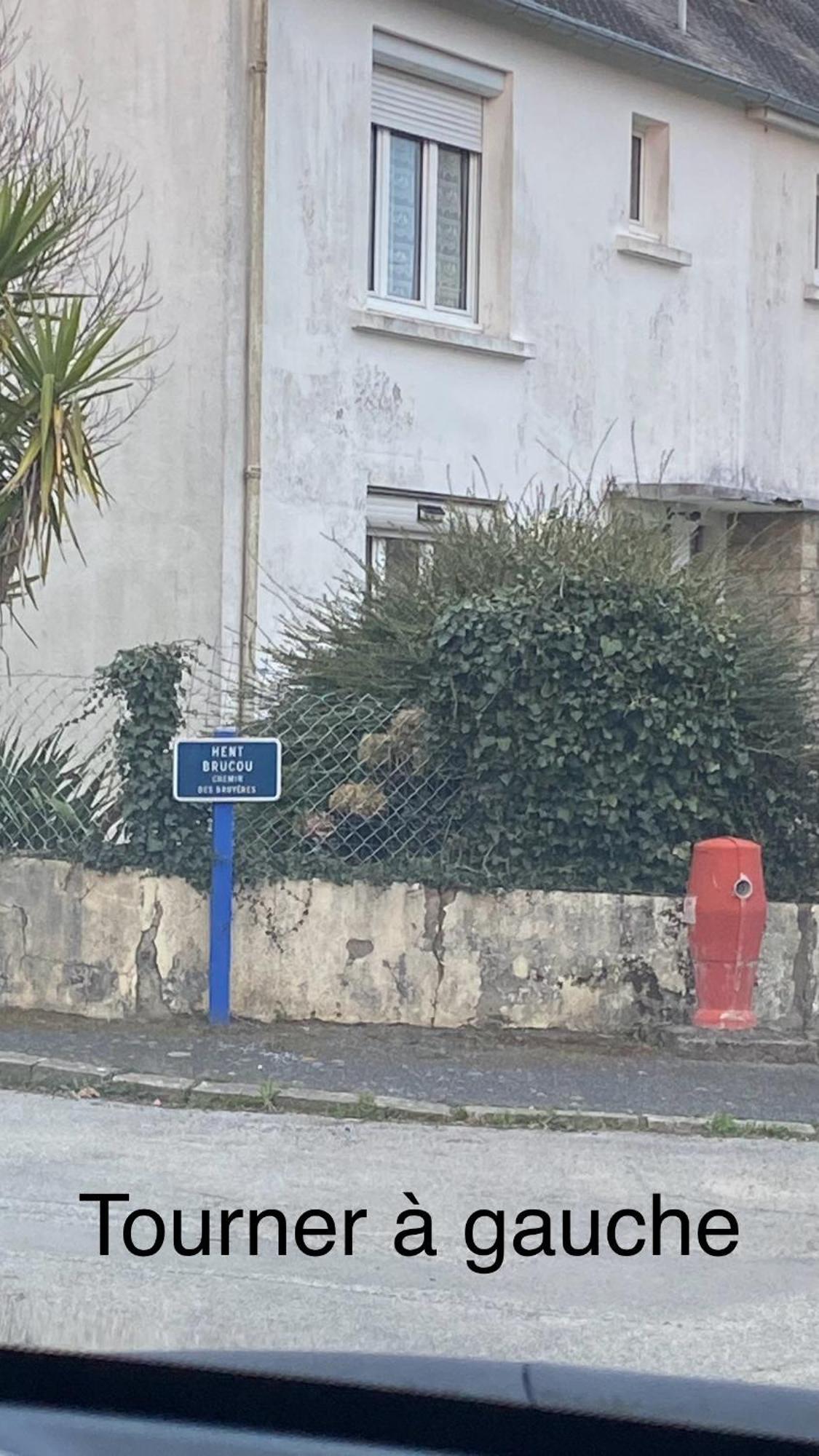 Paradis Clohars-Carnoët Exteriör bild